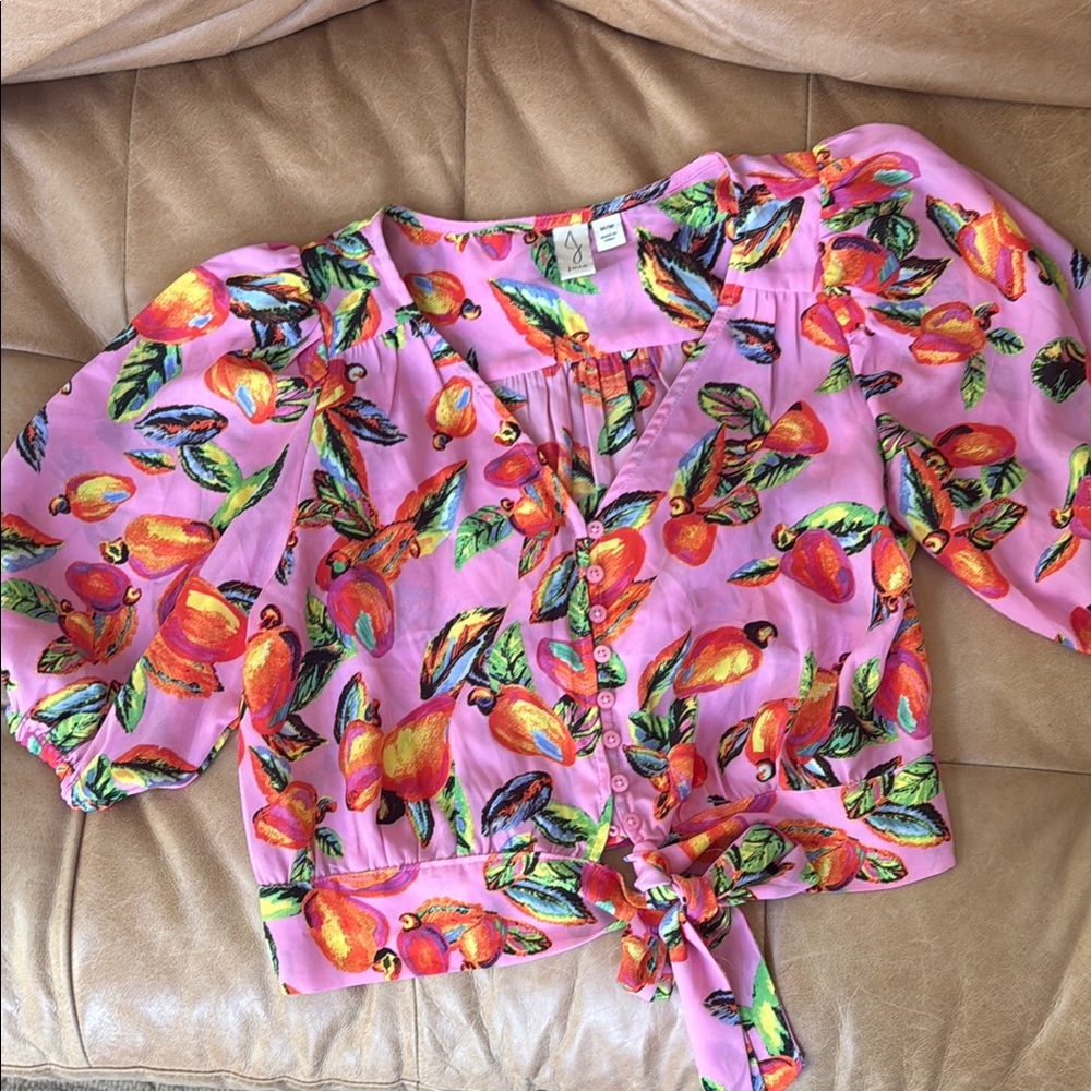 Pink Joie Blouse